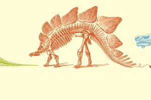 Championing the Circular Cause