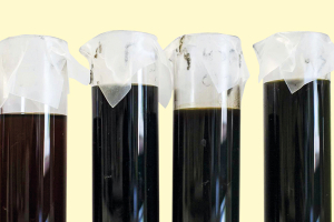 Conou, al via il primo roadshow dedicato alle imprese