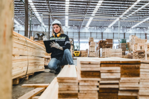 Postpone and improve: the timber supply chain debates the EUDR