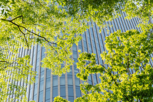 Per ogni dollaro investito per proteggere la natura,  oltre trenta la distruggono 