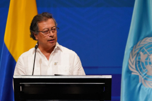 COP16, the gordian knot of biodiversity finance