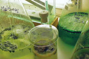 La via per uscire dalla crisi