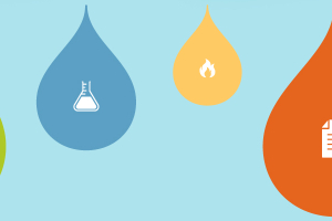 How to Shape The Next Level of The European Bio-Based Economy?