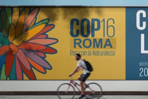 COP16 Biodiversità riprenderà a Roma a Febbraio 2025