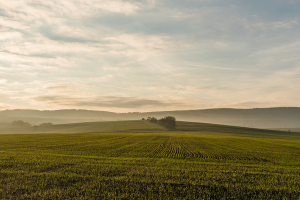 Back to the Future,  Rediscovering Traditional Knowledge to Win the Food Challenge