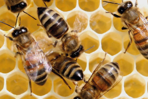 5 Drivers for a Changing Economy