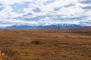 Panamericana and biodiversity, empathy can save the world
