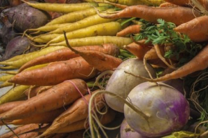 Earth Regeneration for Human Health