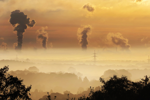 The Mixed State of the European Bio-Based Economy