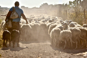 Drought in Sicily: what’s happening?