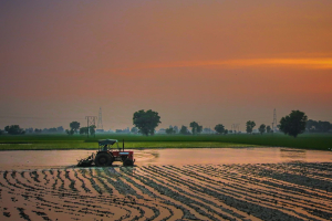 Acque depurate per l’agricoltura: il modello CAP che garantisce qualità e sicurezza