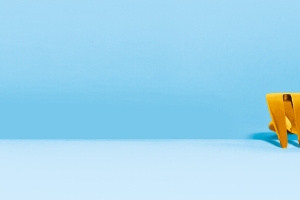 Bioplastics: Fostering a Sustainable and Resource Efficient Circular Economy in Europe