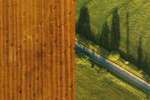 RE Soil Foundation. Under our Feet, our Wealth