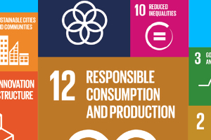 The Food System in the Circular Economy