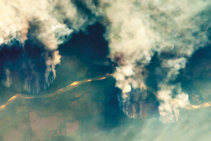 Short-Term Profits for the Few: Populism and Agribusiness in Brazil