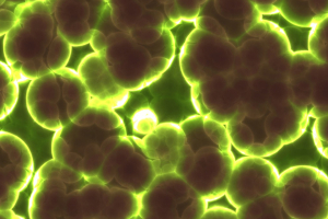 Carbon Smart Circular Economy