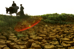 Bioeconomy and Food Security: The Relaunch of Agriculture Is at Stake