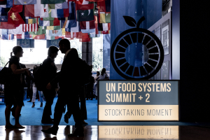 UN Food Systems Summit +2: alla ricerca di sistemi alimentari sostenibili