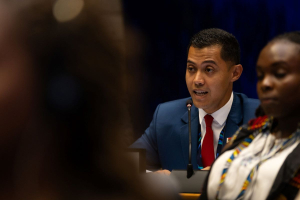 Adattamento climatico, COP29: ai paesi vulnerabili servono più soldi