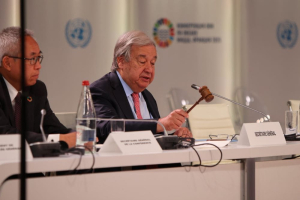 Third UN Ocean Conference: a missed opportunity to protect marine life