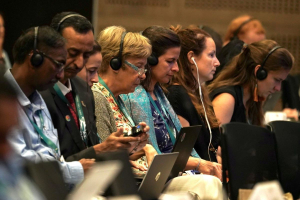 COP16 Colombia 2024, è boom di aziende presenti ai negoziati sulla biodiversità