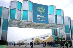 COP29 Baku, tanti partecipanti nonostante l’assenza dei leader