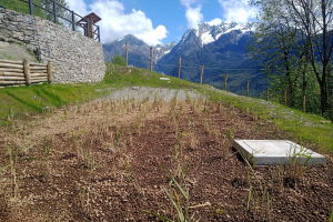 In the Mountains, Nature Can Take Care of Water Treatment