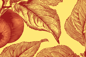 Packaging Management System: Assessing a Tree by its Fruits