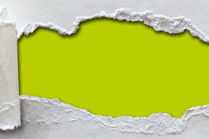 Packaging innovativo e sostenibile