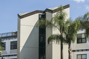 Capillary Circularity