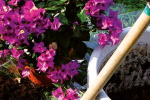 Italy: Compost is Catching up