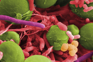 There's Good in CO2 (If You Know How to Find It)