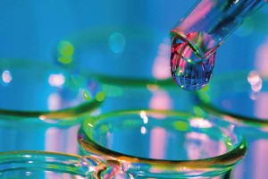 Employment, Research and Innovation for Sustainable Growth