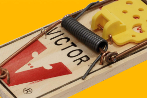 Unsustainability Trap