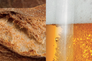 Brewing with Leftover Bread