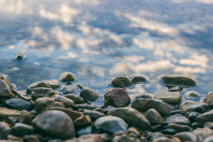 Acqua e resilienza: al CESE si continua a lavorare per un Blue Deal europeo