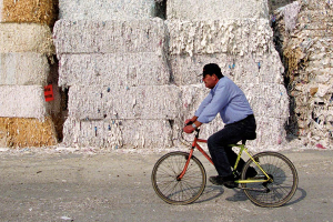 An (Almost) Perfect Circle: Paper Recycling in Italy