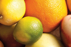 $655 Million for Fairtrade Food