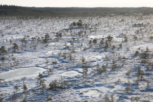 Methane, the forgotten emissions