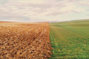 The Fight Against Climate Crisis Starts From the Bottom