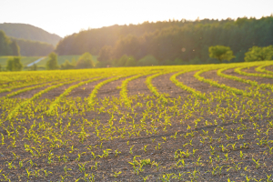 The Needs of Green Chemistry