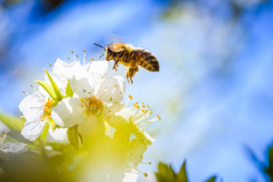 Le innovazioni destinate a cambiarci la vita nel 2025