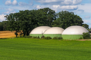 Renewable Matter launches its new “Features” section