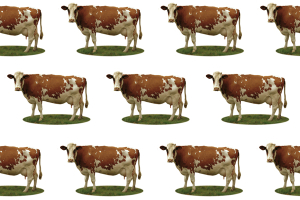 5.5 Billion Precious Tons of Forests and Agricultural Fields