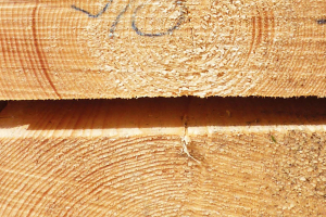 The Revival of Eco-Local Materials