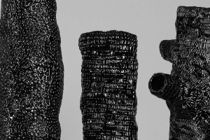 500 materials under the lens