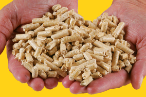 Europe Desperately Seeking Biomass