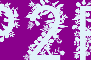 When Loans Go Social