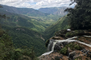 Startup, protecting forests and indigenous communities in the Andes with Acción Andina