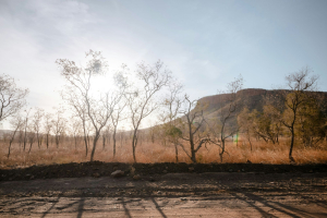 Domenica 21 luglio, il giorno più caldo mai registrato a livello globale
